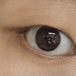 나 꼬막눈이야...? 봐줘 <b>젭알</b>...