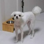 투바투 약간 <b>이런</b><b>느낌</b>임