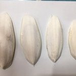 나만 알기 아까워서 공유하는 우리집 민간요법? 3가지.