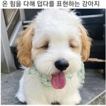 이런건 수학 잘하는거야?