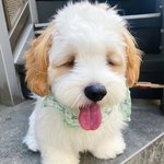 장원영 <b>탄탄대로</b> 인생 개부럽다