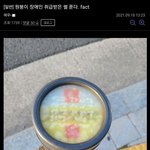 [댓글부탁해] 우리집 가난한데 난 평범해