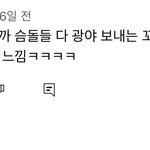 민희진 <b>퇴사</b> <b>이유</b>
