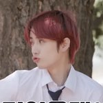 범규 <b>부리</b>