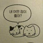 [댓글부탁해] 친구 생일 <b>선물</b> <b>추천</b> 좀.ᐟ.ᐟ