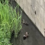 [19] 오늘 시골에서 이상형 봤다