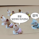 내일부터 갓<b>생산다</b>...