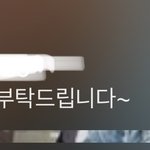 <b>스카</b>에서 공부하고있는데