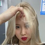 이정도면 취향 소나무?