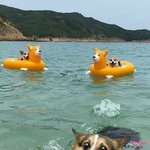 인생을 좀 즐길 줄 아는 녀석들