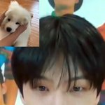 [NCT드림] 햄스터 <b>코에</b> 뽀뽀하고 싶어요..