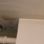 방탈죄송요) <b>누수</b> 아시는 분 꼭좀!!