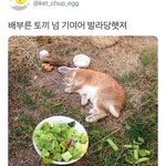 [댓글부탁해] 입시미술 하는 친구들 <b>궁물</b>