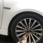 [이것좀봐줘] 길냥이 사진 찍는데 막 째려보네