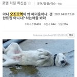 오조오억이 남혐단어라는게 <b>억지</b>인 이유