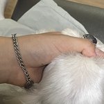 울집멍 ㄹㅇ천사견이군아