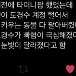 이 썰만 들으면 눈물 줄줄