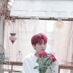 [인피니트] ㅈㅁ?)잉토기들 중에 우현이 <b>페스티벌</b> 가는 사람?