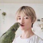 앵무새부러워
