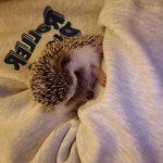 수빈이랑 <b>오디</b> 조합 너무 귀엽지 않냐