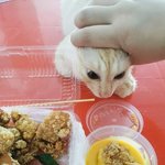 [댓글부탁해] 근데 공부머리 <b>유전</b>임?