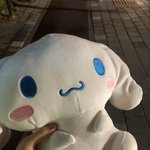 히히 다이소에서 시<b>나모</b>롤 인형 겟해옴