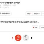 제발 나 해ㅊ 팬이라고 개패던 판녀야