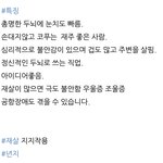사주 ㄹㅇ찐인거같음