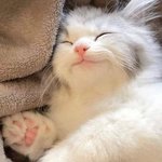 [NCT칠프] <b>디비자</b>야지