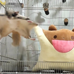 안아줘<b>요인</b>형 다시 파는거 앎?
