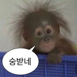 [댓글부탁해] 시원해지는 노래 추천해쥼