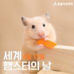 [댓글부탁해] 난 사랑 필요없다 생각했는데 애정결핍이었음