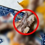 우리 치킨 닭 피도 먹고 있었대