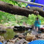 [개념좀] 천안 계곡: 애 없으면 가지 마세요