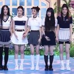[드루와] 뉴진스 <b>비율</b>