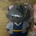나 네코<b>누이</b> 삼