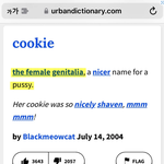 뉴진스 Cookie <b>가사</b> 외국덕 논란