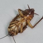 [모두드루와] <b>모</b> 신인 걸그룹<b>멤버</b> 학교폭력 폭로합니다