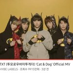 [TXT] 꺆 캣앤독
