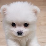 아 <b>우영우</b> 정말 아니길...........