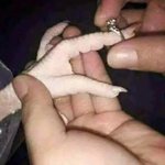 [댓글부탁해] 얘들아니네 추반해봐 에프엑스