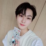 [엔하이픈] 인가에서 <b>선물</b>해준 고양이 <b>세트</b>