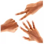 신기한 확률의 세계