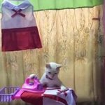 [NCT칠프] <b>지친</b>댜…