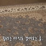 이런 <b>카펫</b>은 뭐라쳐야 나와?