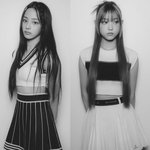 뉴진스 내 <b>필승</b>이라는 멍냥조합