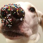 현장에서 바로 잡힌 용<b>의견들</b>?!