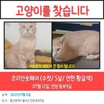 [드루와] 혹시 여기 <b>울산</b>사는 사람 있으면 봐주라..