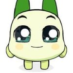 길고양이 <b>중성</b>화하고 귀 끝 살짝 자르는거 있자나
