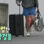 <b>캐리어</b> 어떤가요
